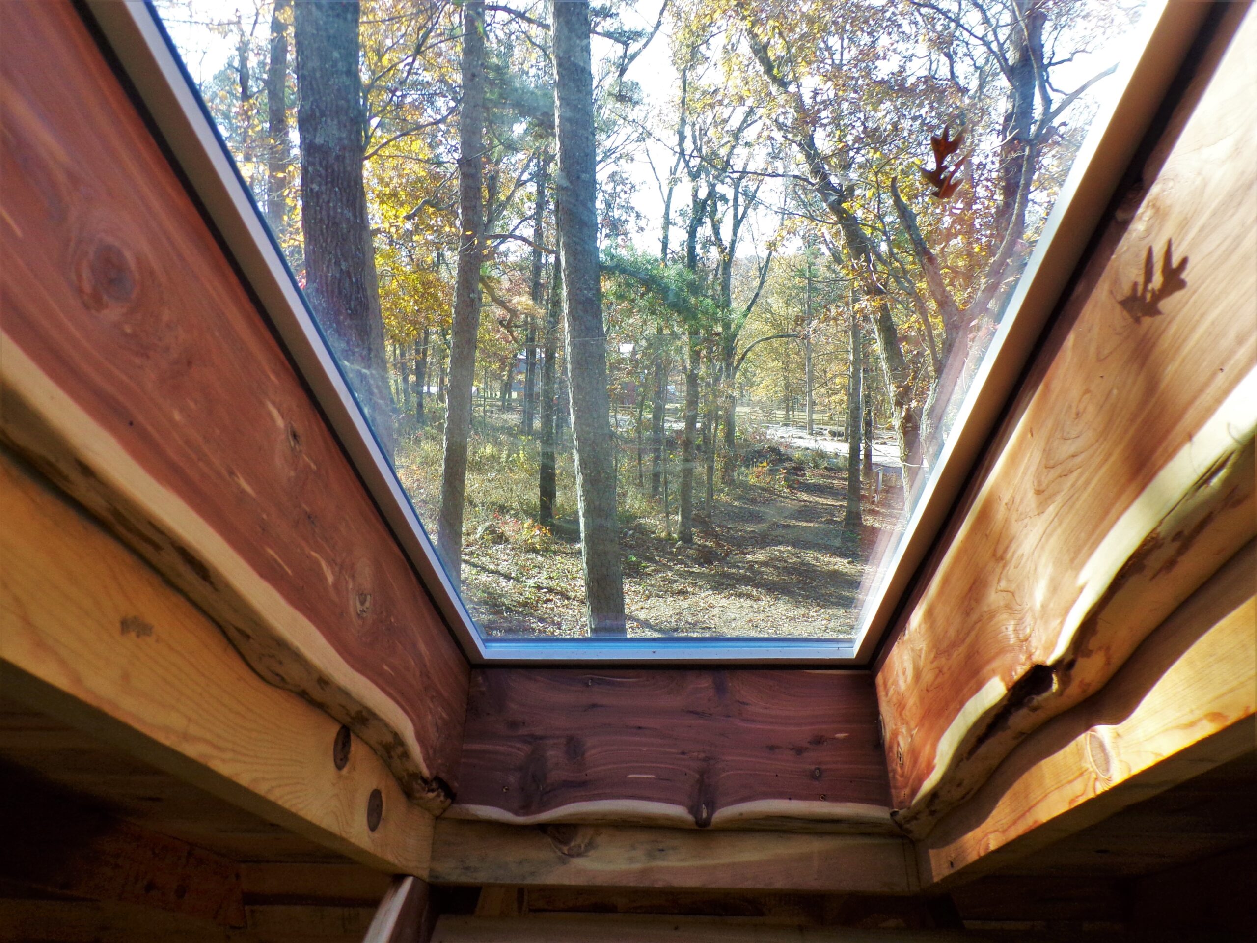 view from Dogwood Primitive Cabin loft