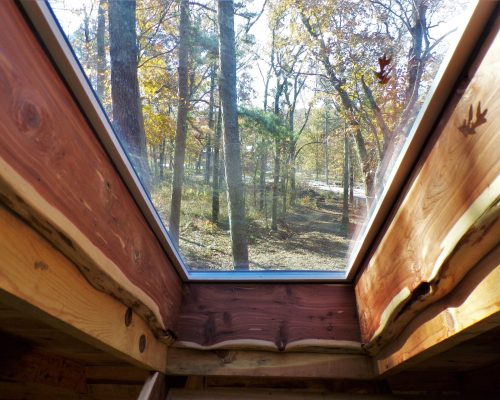 view from Dogwood Primitive Cabin loft