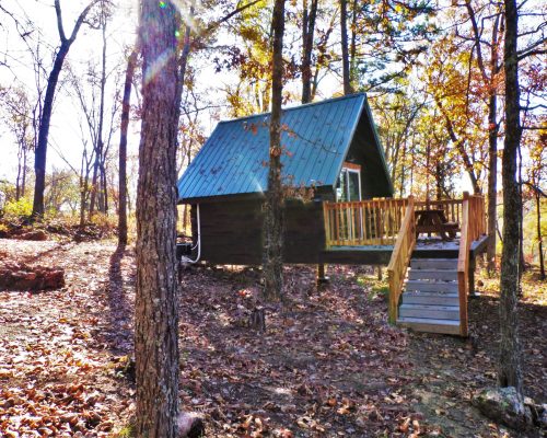 Dogwood primitive cabin