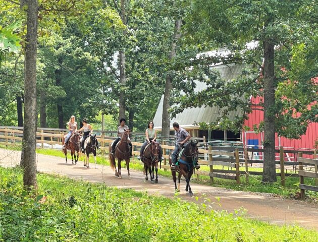 Horseback riding