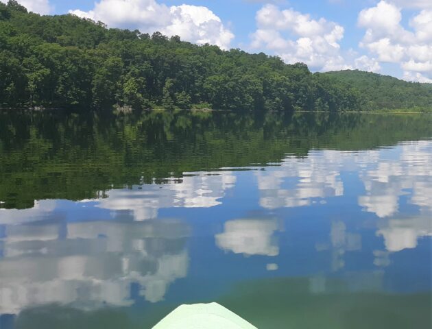 Kayak rental