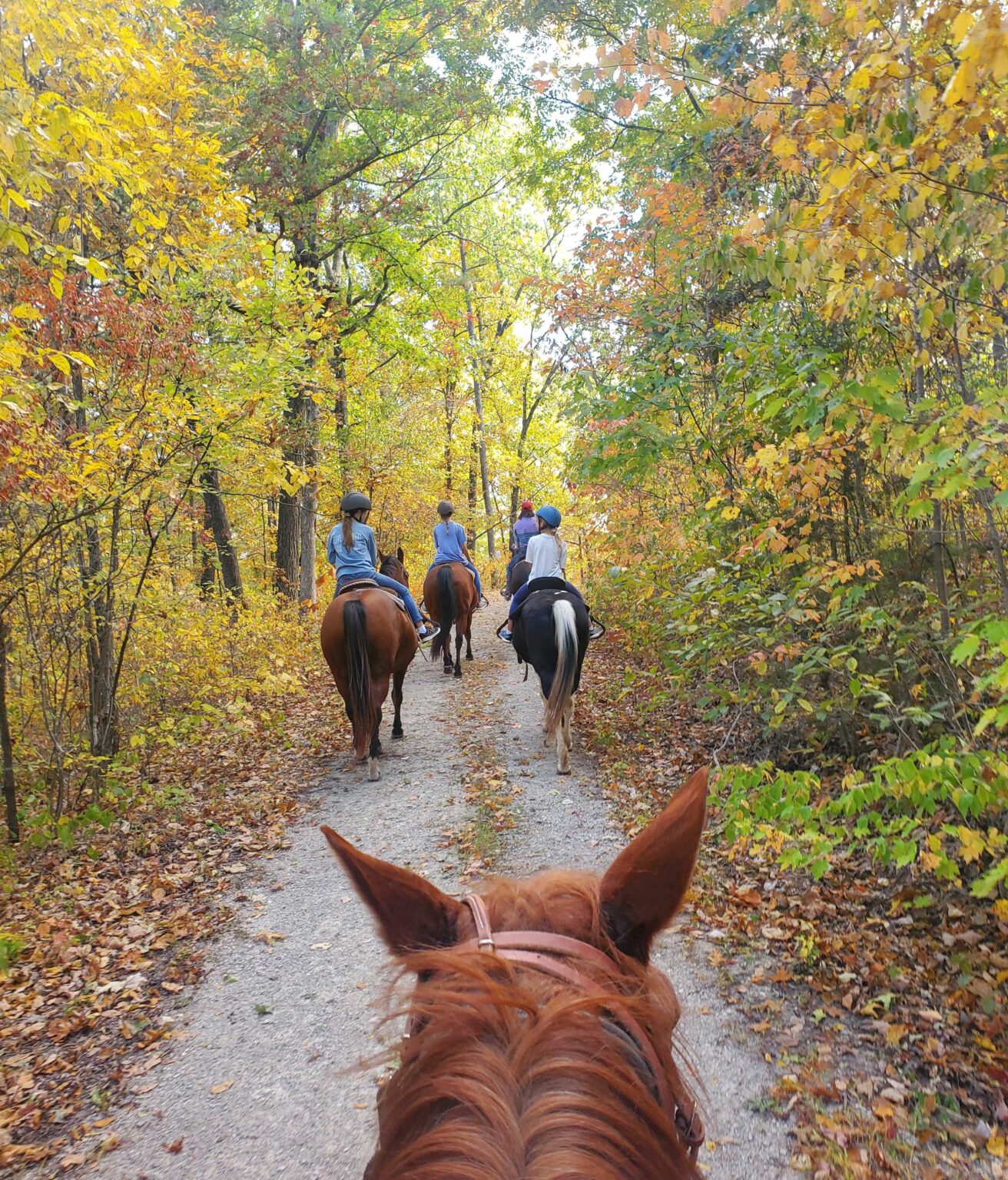 Horseback Riding Spring Lake Ranch