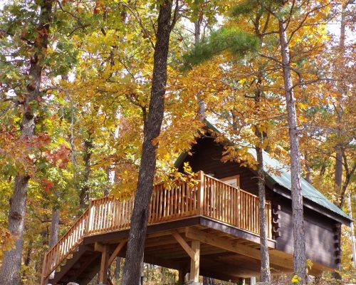 Dogwood Primitive cabin