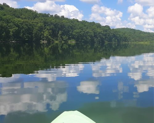 kayaks and canoe rental