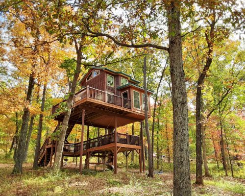 "High Hope" Tree House